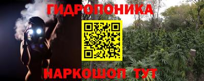 крисы Канаш