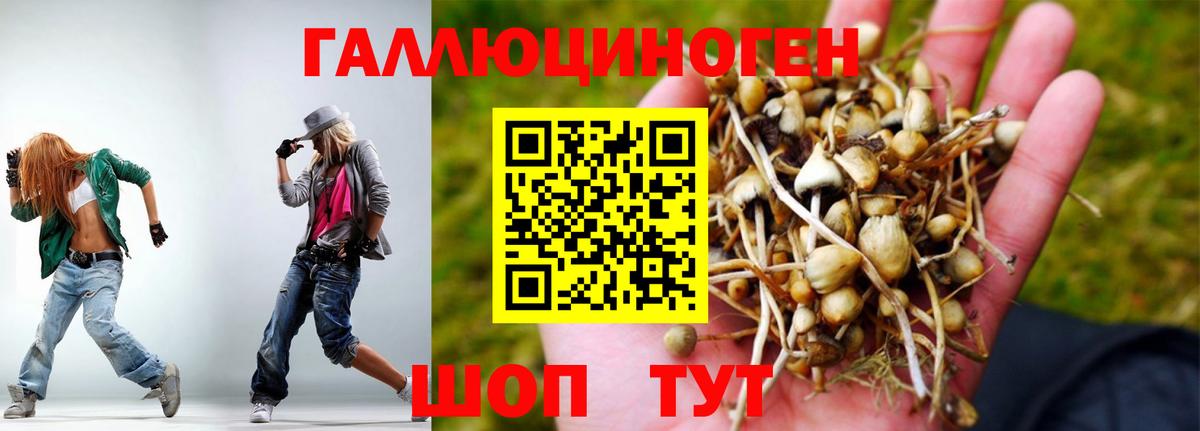 Псилоцибиновые грибы Psilocybe  Вход с VPN  Куйбышев  Псилоцибиновые грибы ЛСД 