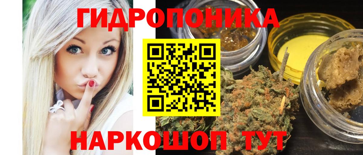 Канабис план Куйбышев